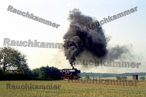 8119 seelingstädt - 8119-1,