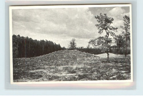 Schildau altenhain - schildau,