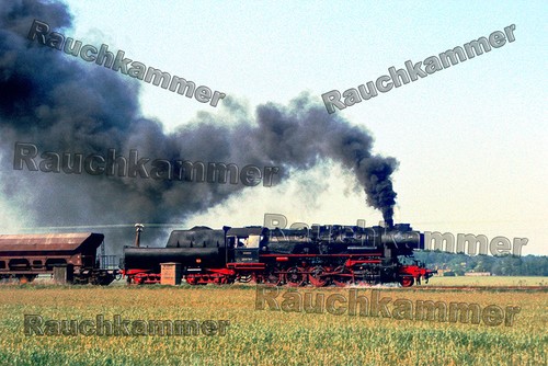 8119 seelingstädt - ,